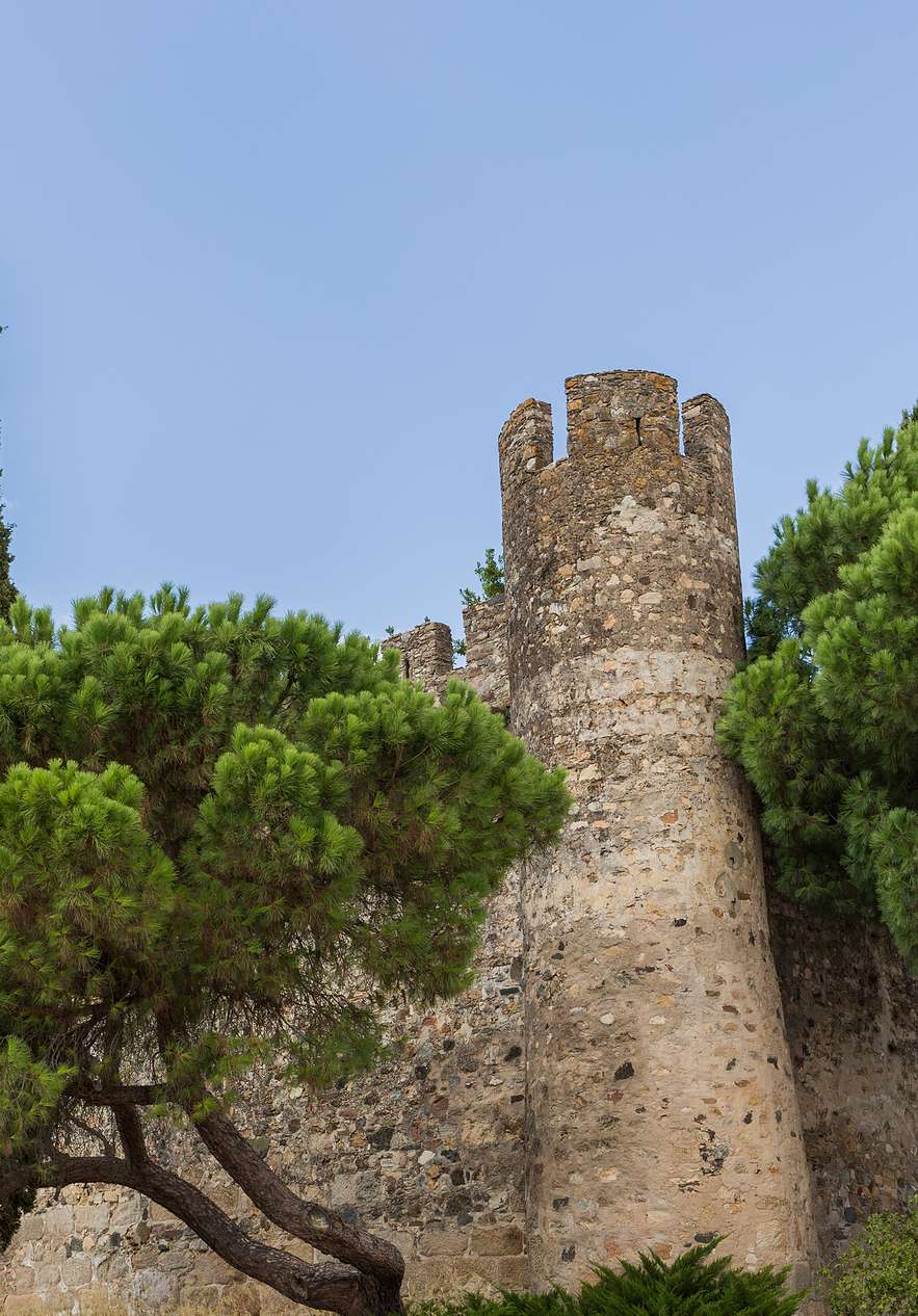 Castillo de Alter cerca de Pousada Mosteiro Crato, Hotel en Crato con Piscina, entre pinos y murallas