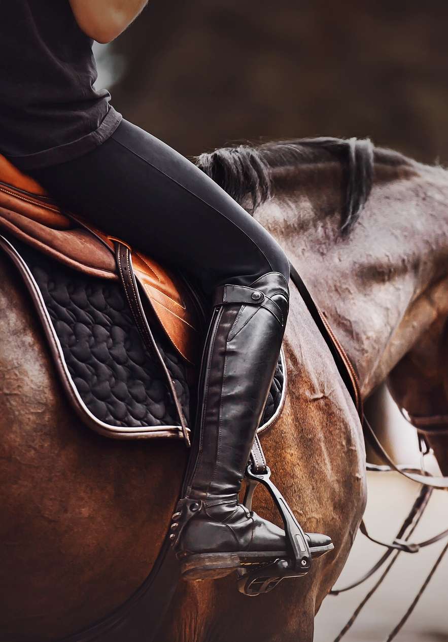 Equestrian riding near Pousada Convento Arraiolos, Hotel em Arraiolos no Alentejo with close saddle detail