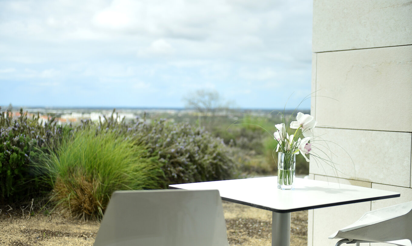The Superior Premium View of The Pousada Palácio Estoi has a balcony with a table, a vase with flowers and garden view