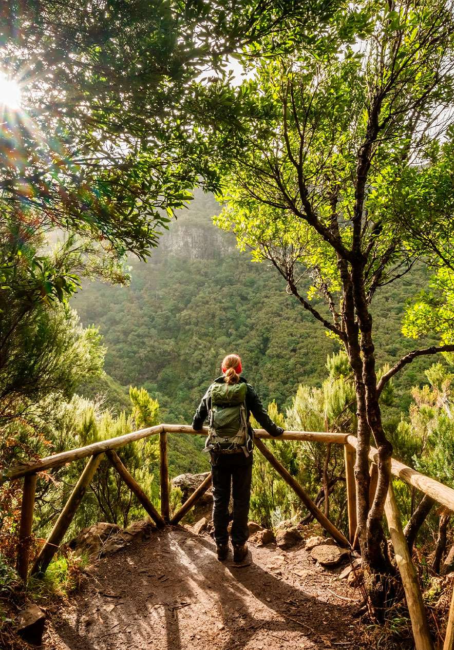 Hiking trail in the Azores near Pestana Bahia Praia, Hotel 4 Estrelas nos Açores with forest valley views