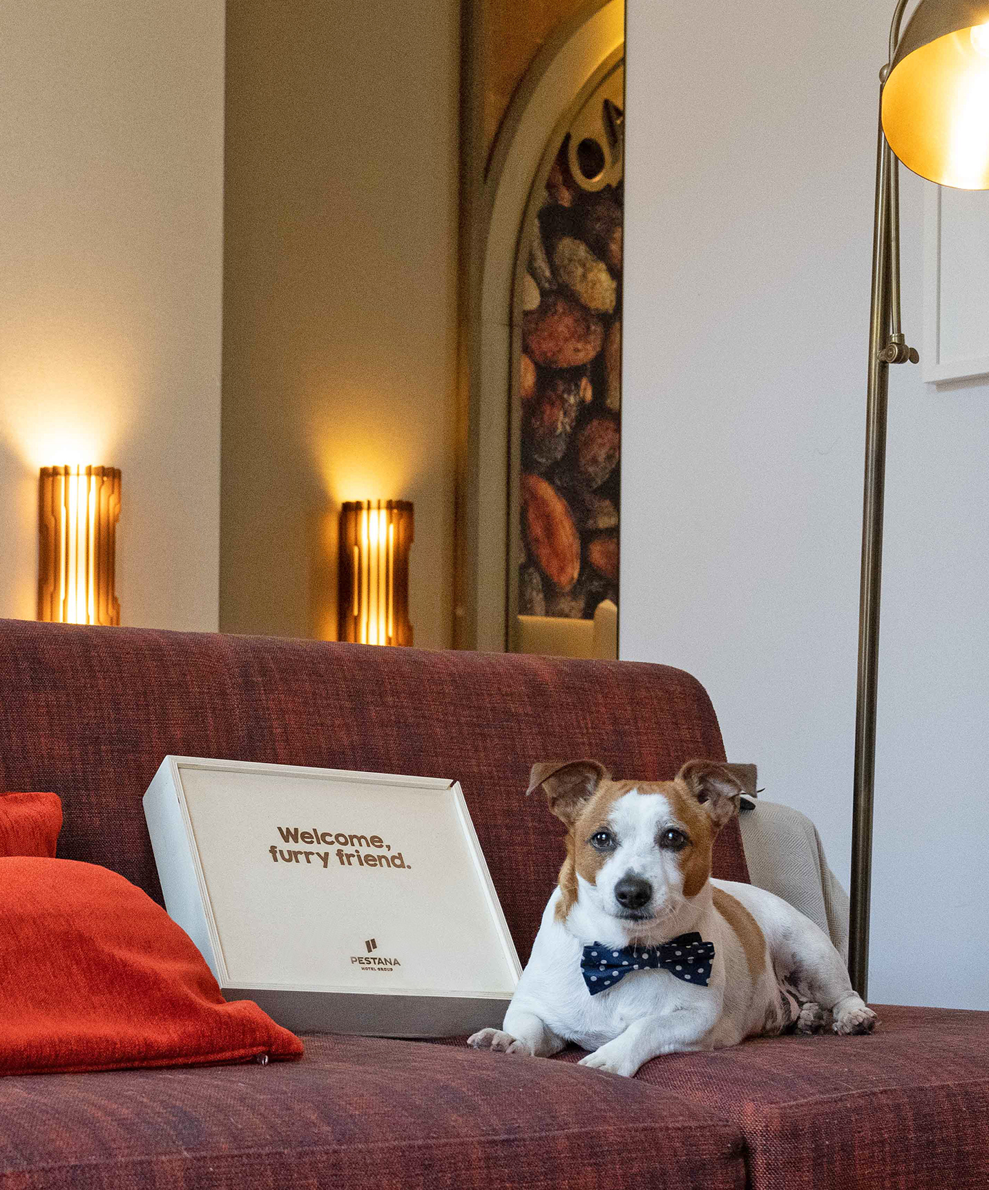 A Pousada Castelo Palmela is a pet-friendly hotel where dogs can relax with their owners in their room