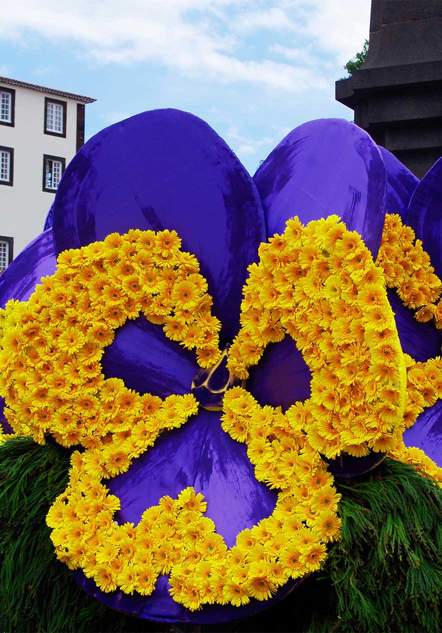 Madeira Flower Festival near Pestana Carlton Madeira, Hotel 5 Estrelas na Madeira with yellow floral displays