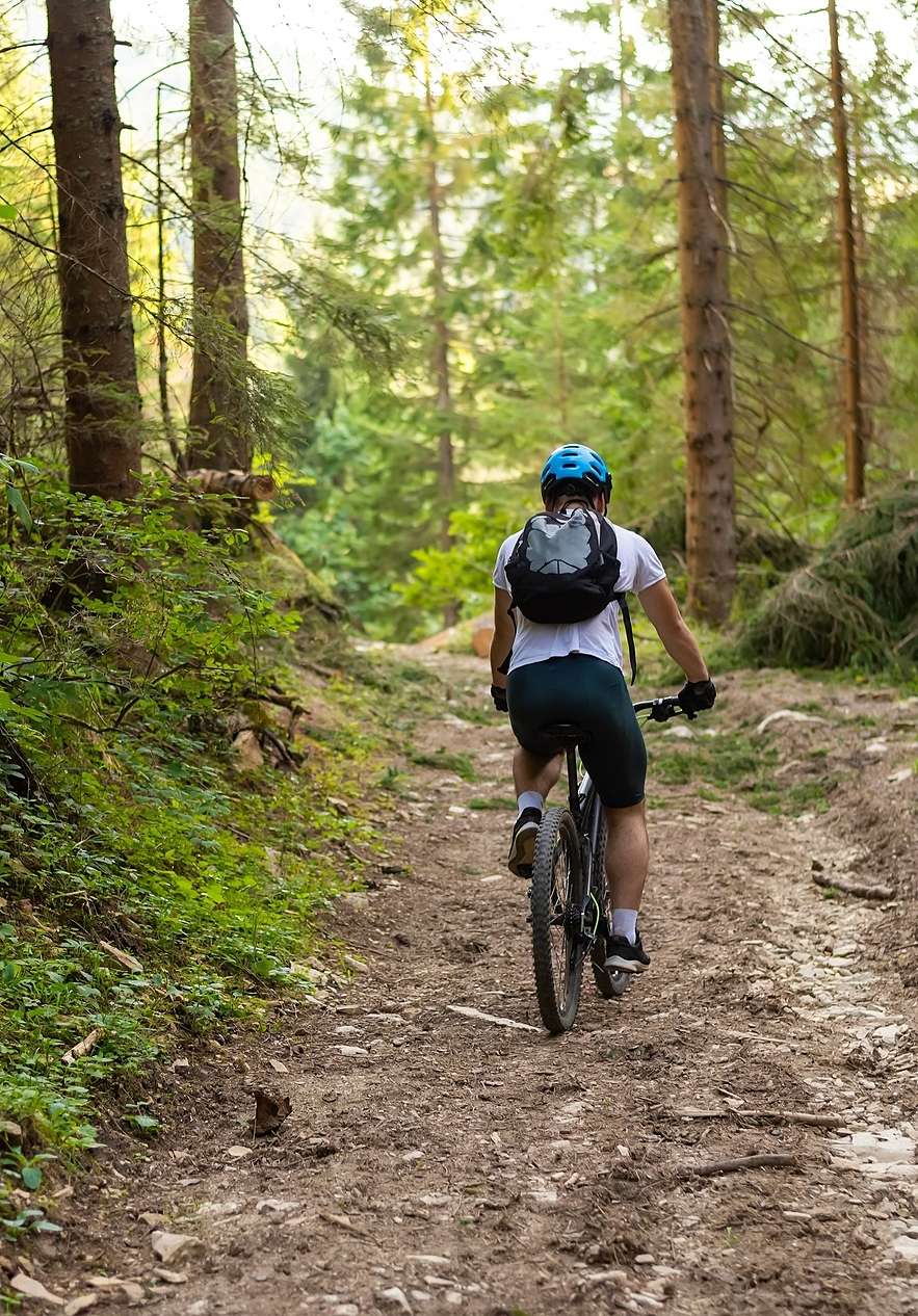 Mountain biking on wooded trails near Pousada Caniçada - Gerês, Hotel de Montanha no Gerês with cyclist on rocky path