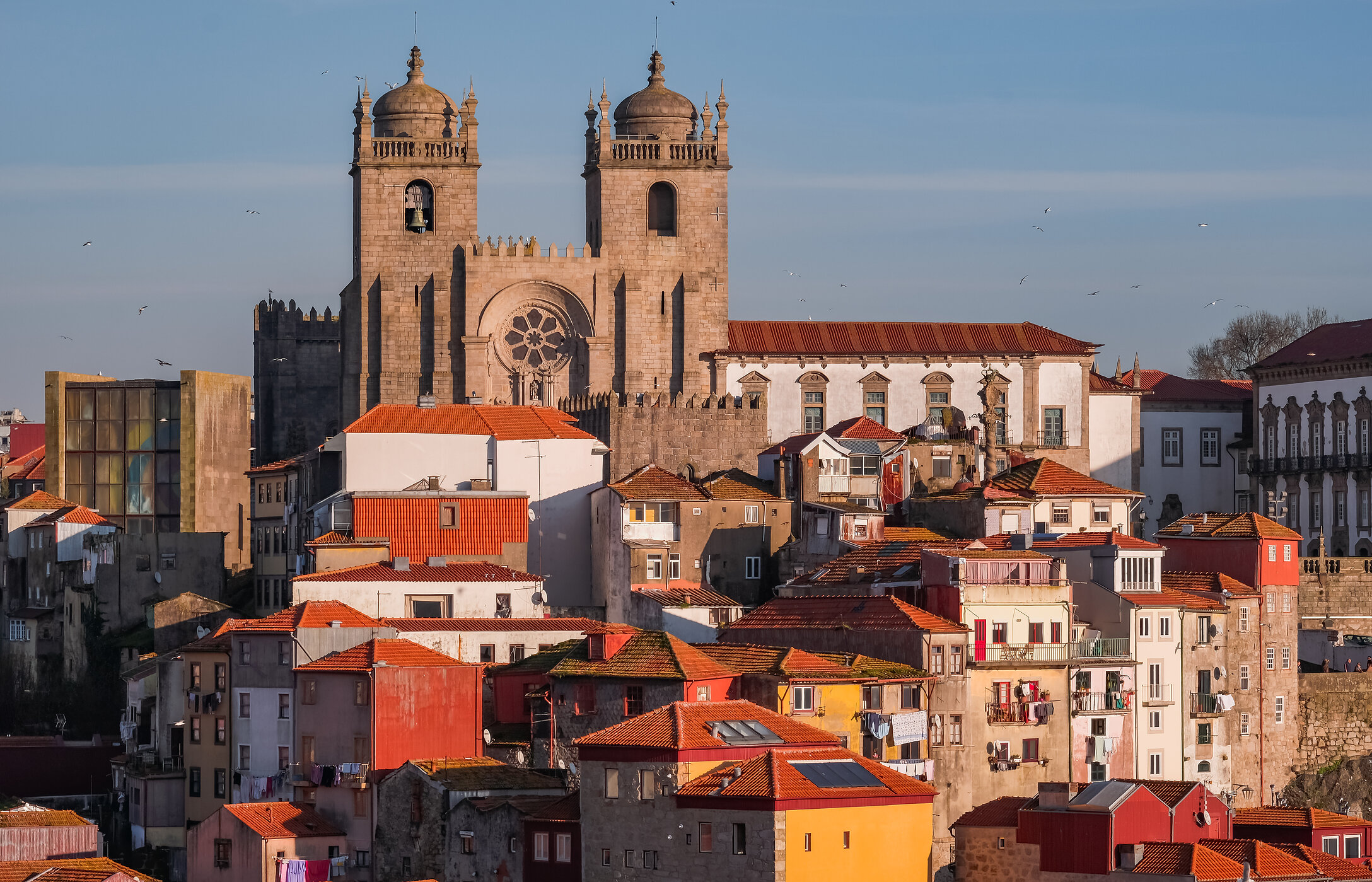 View of Porto Cathedral over Porto, highlighting its Gothic architecture
