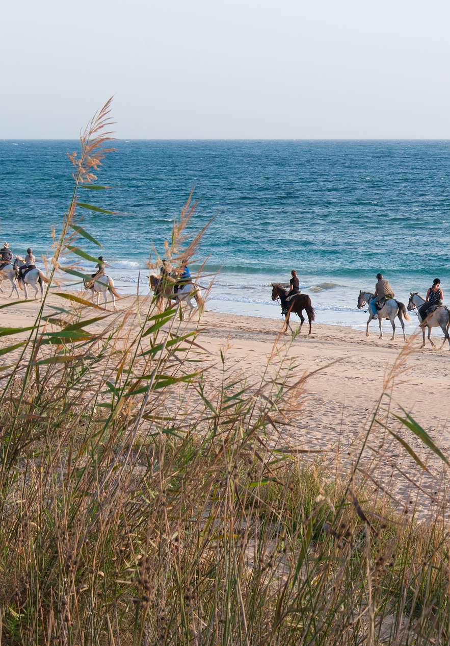 Cavaliers avançant le long d'une plage de sable au bord de l'océan avec des dunes herbeuses au premier plan