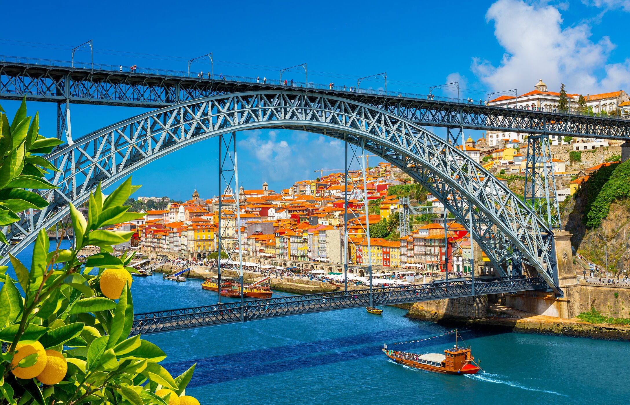 Vue sur le pont Luís I sur le fleuve Douro, avec la ville de Porto en arrière-plan et un citronnier au premier plan.