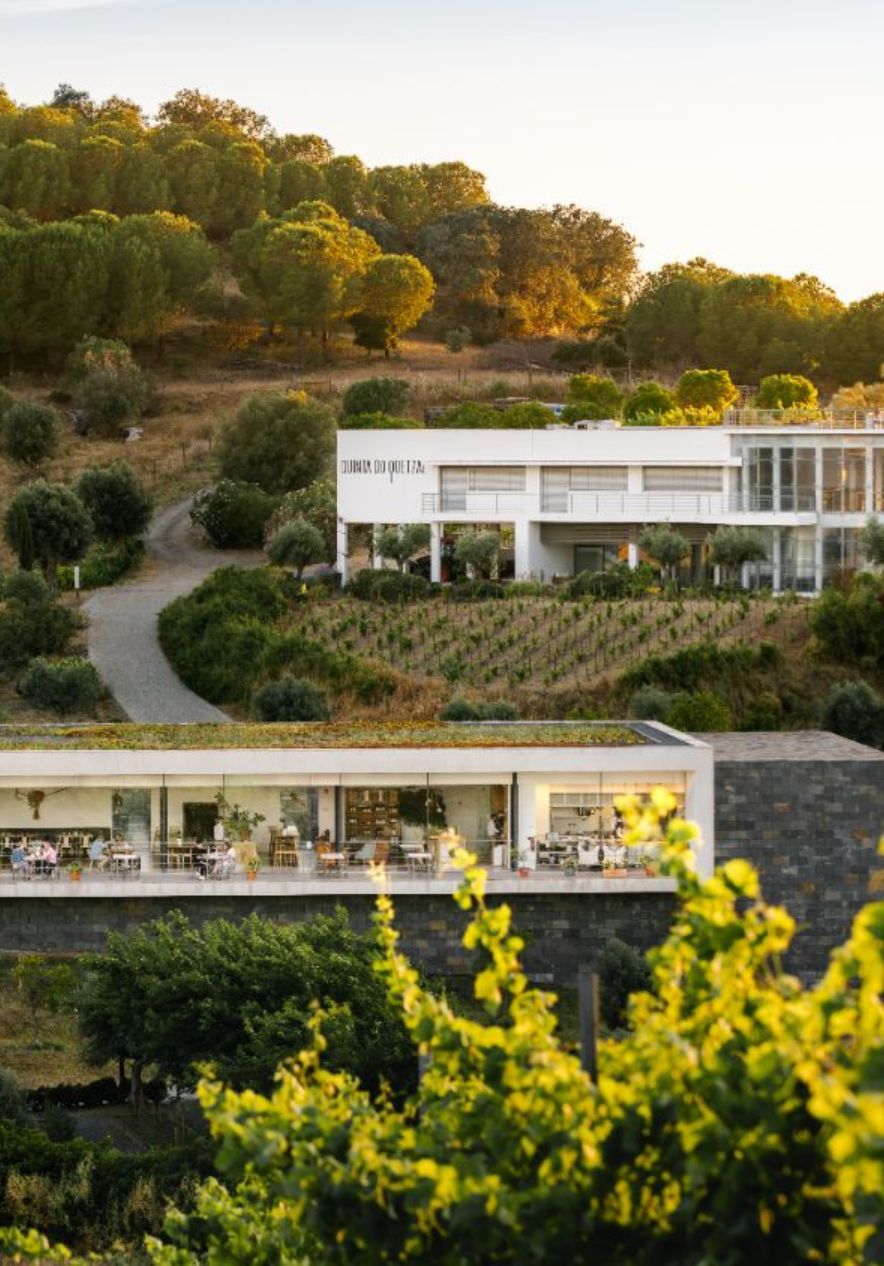 Vinhedos e edifícios modernos em colina arborizada do Alentejo com terraços iluminados ao entardecer