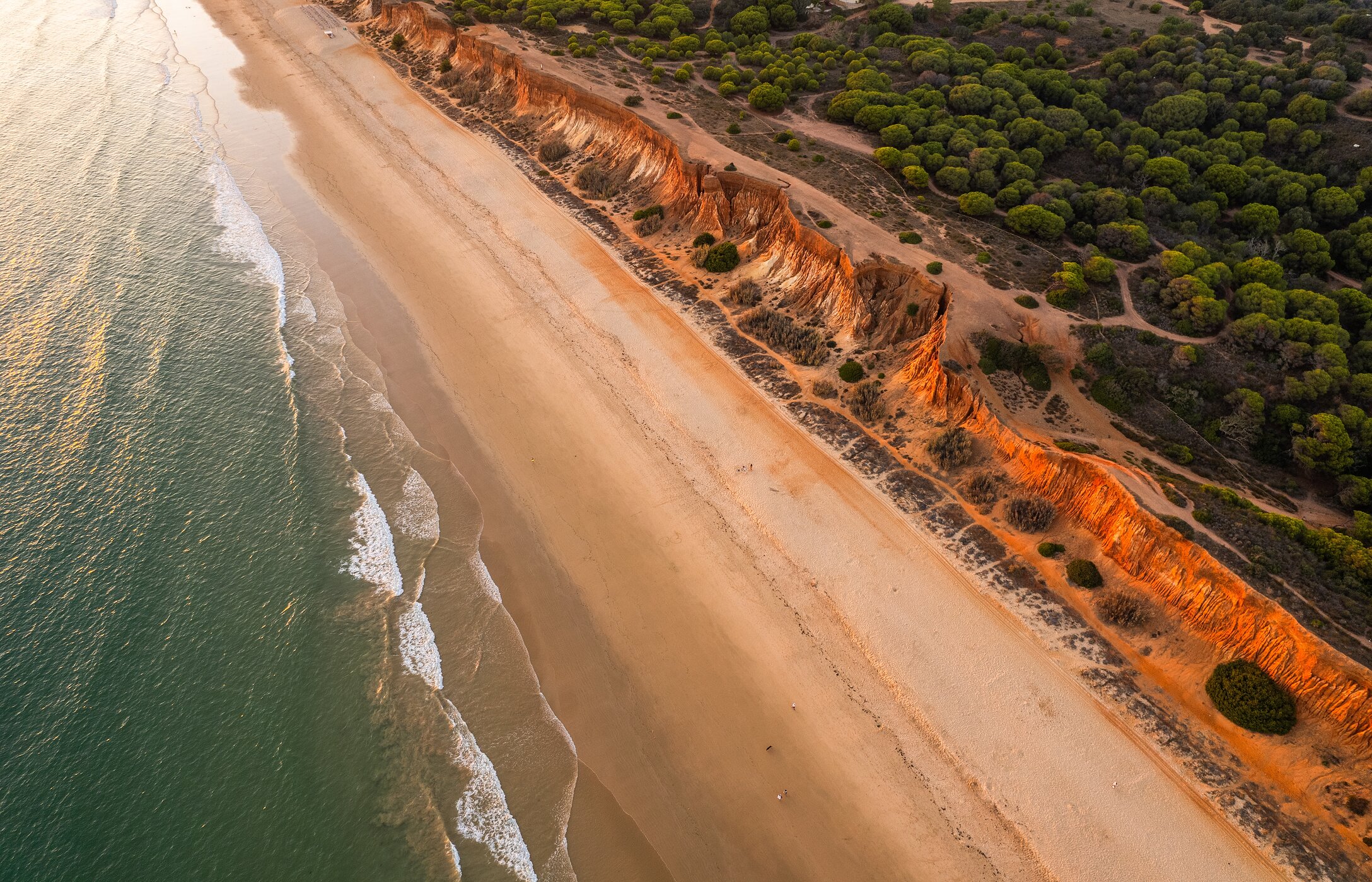 Vista aérea da Praia da Falésia, no Algarve, com um extenso areal dourado ao longo da costa e águas cristalinas