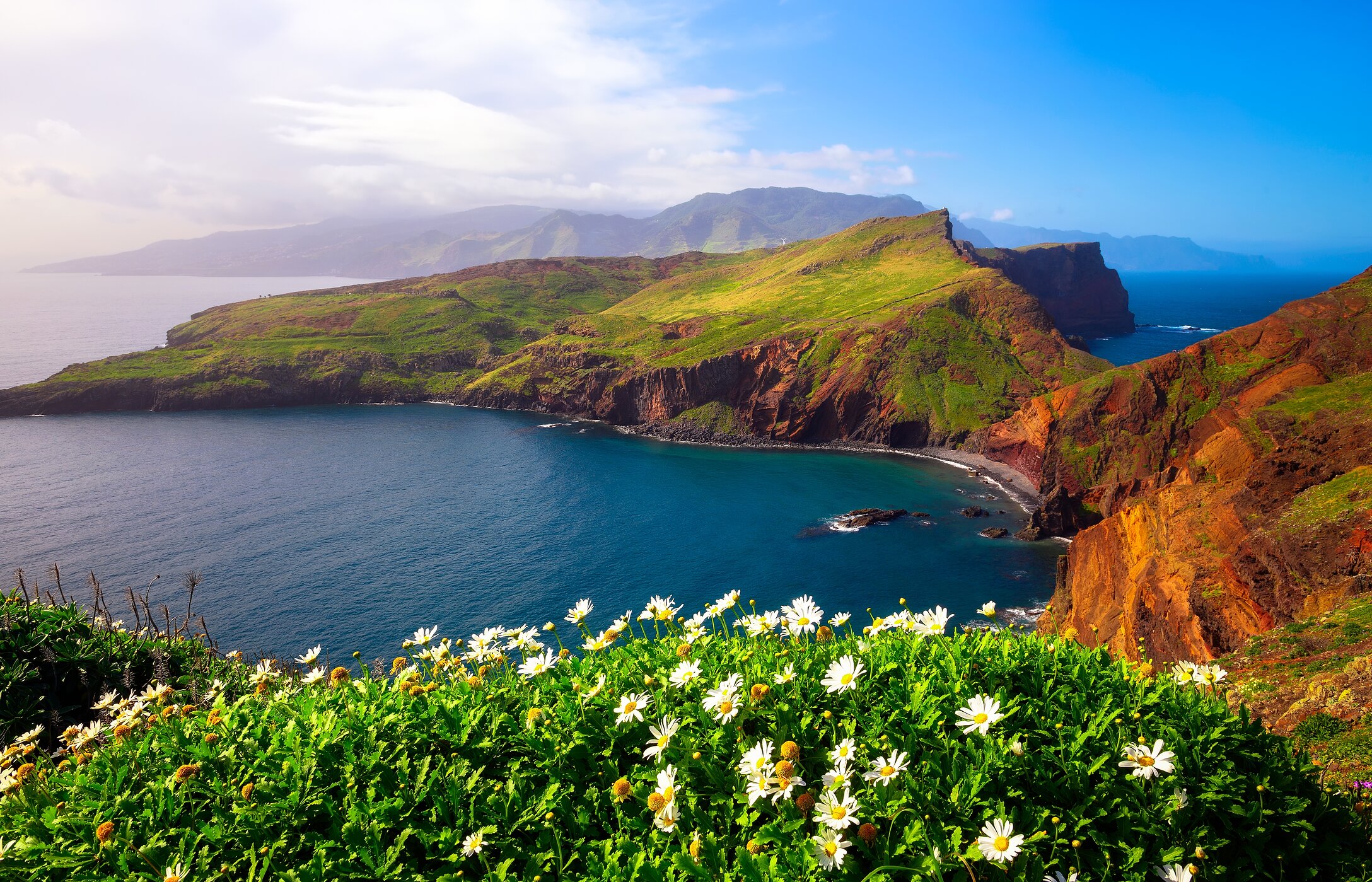 Vista para a icónica Ponta de São Lourenço, na ilha da Madeira, rodeada pelo oceano e com flores em primeiro plano