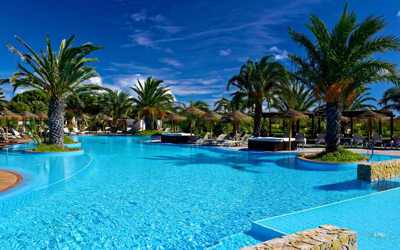 Ein Pool mit klarem, blauem Wasser, mit mehreren grünen Palmen rundherum, und ein klarer, blauer Himmel mit wenigen Wolken