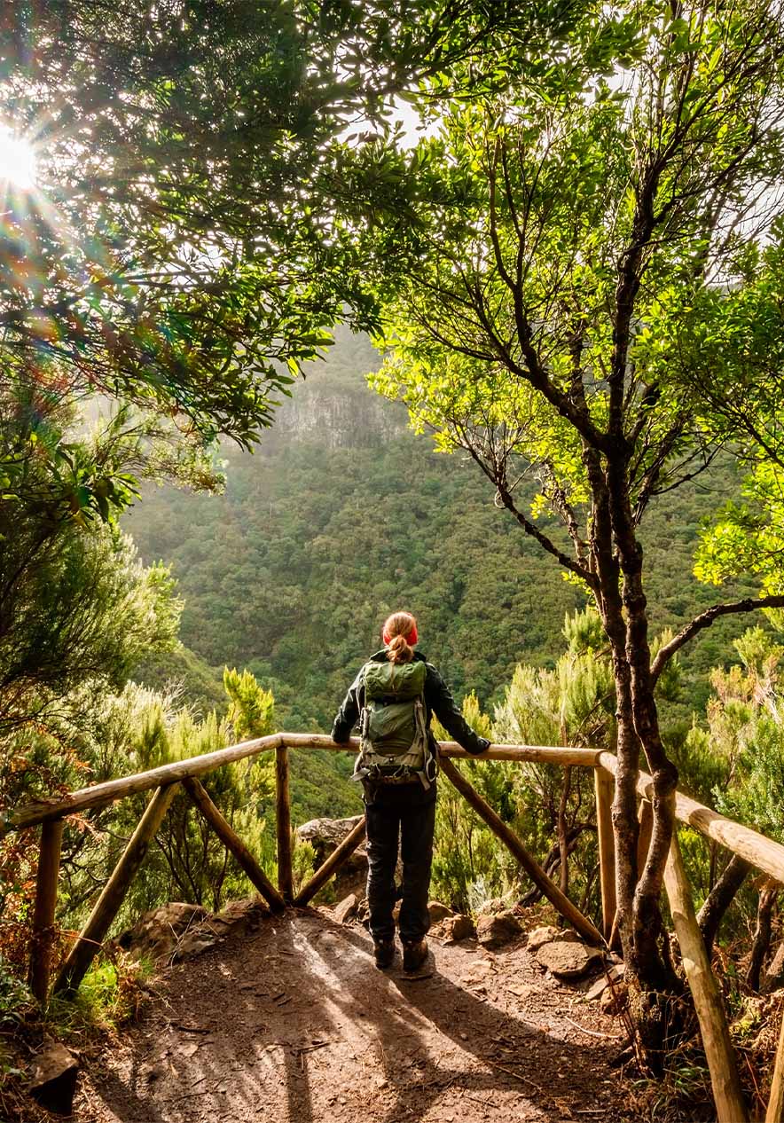Verweilen Sie im Pestana Churchill Bay und erkunden Sie die Laurisilva-Wälder von Madeira mit hoher Biodiversität