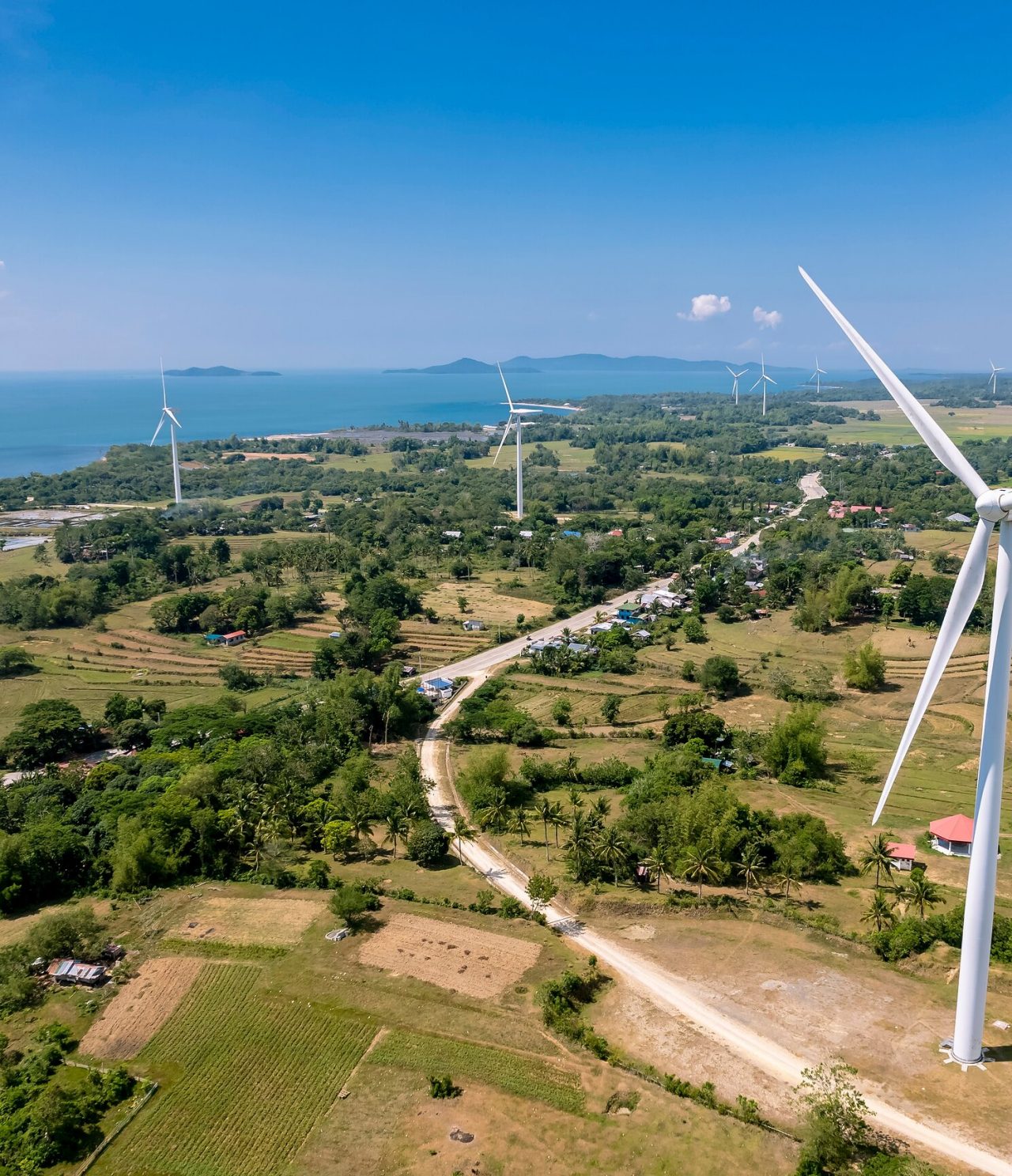 Luftaufnahme mehrerer Windturbinen inmitten von Vegetation, mit einer Straße dazwischen und dem Meer im Hintergrund