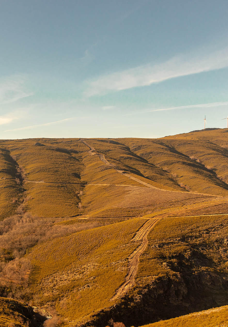 Berglandschaft im Naturpark Montesinho mit sanften Hügeln, bewachsen und mit Erdwegen