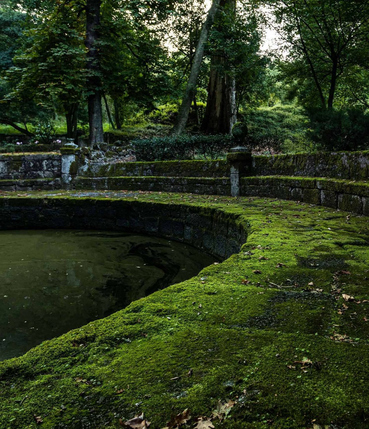 Moosbedeckte Steinmauern an einem ruhigen Wasserbecken unter hohen Bäumen in einem schattigen Garten