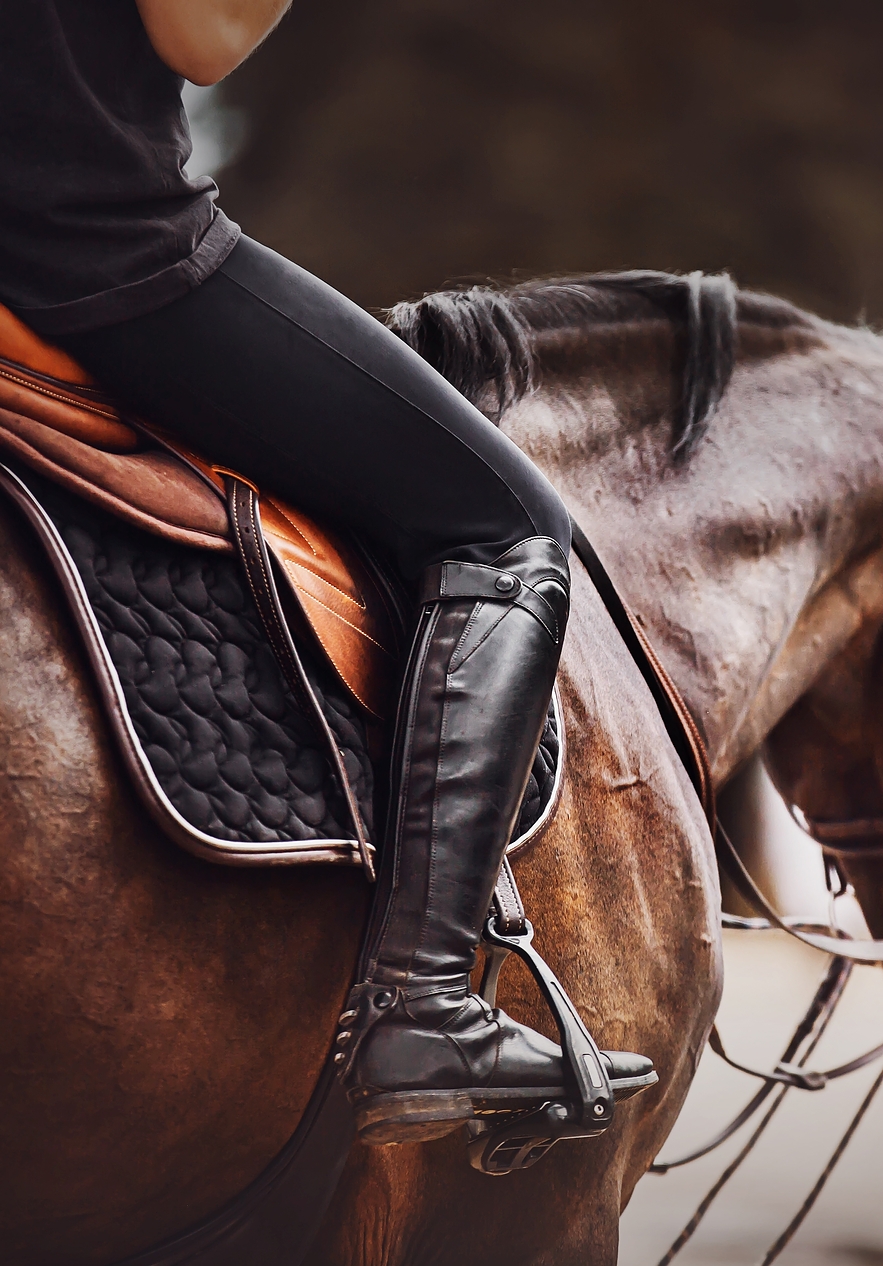 The Horse Breeding Center of Arraiolos in Monte Velho is famous for breeding Lusitano horses excelling in classical dressage