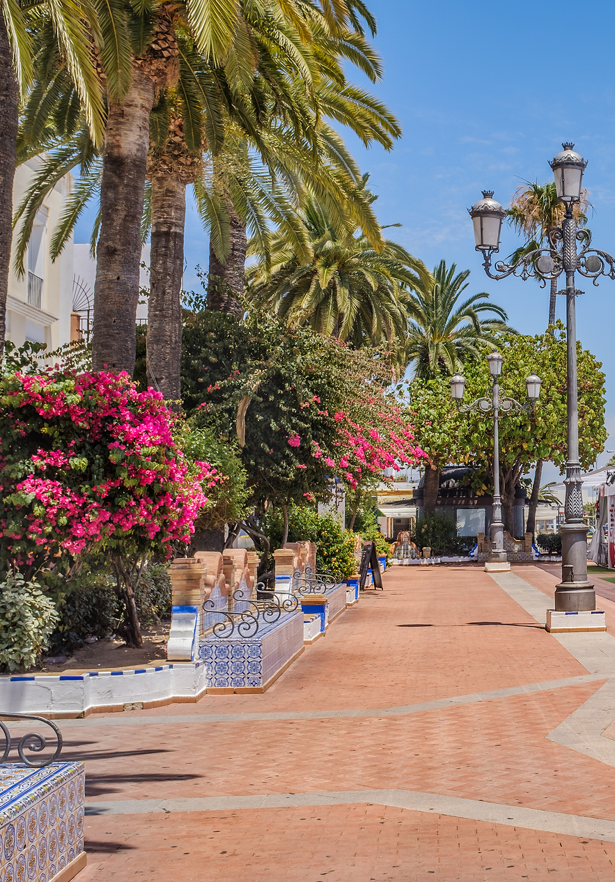 Street in Ayamonte with palm trees and white tents selling colorful items like clothes jewelry and crafts