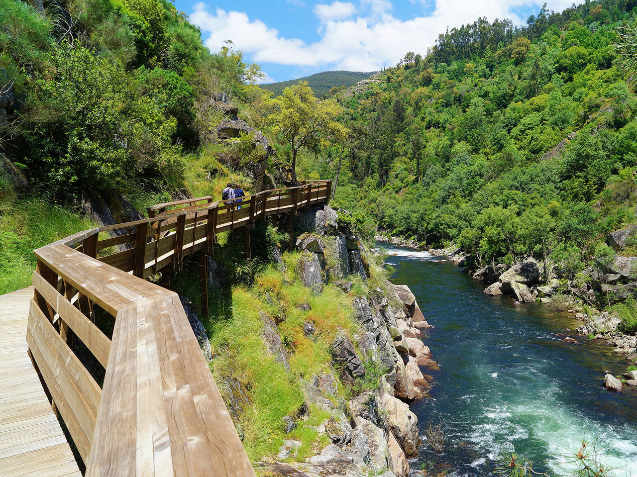 Explore Hotels in Central Portugal featuring a wooden riverside trail through lush green hills and rocky waters