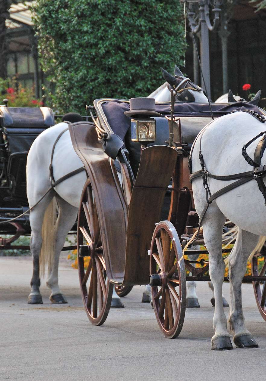 Two carriages each with two horses waiting for people to give a ride around the city
