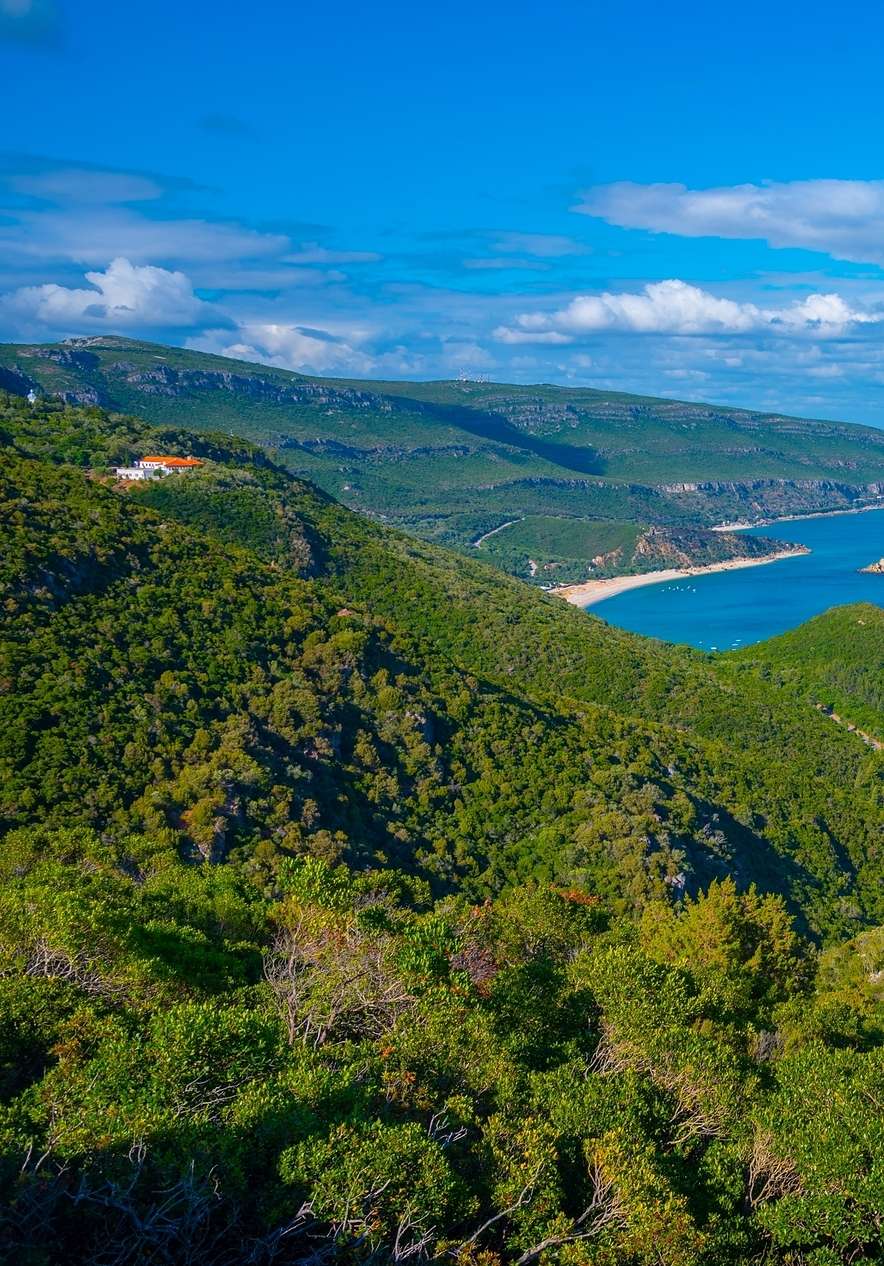 Vista panorâmica da Serra da Arrábida, com colinas verdejantes com vegetação densa e variada, e o mar ao fundo