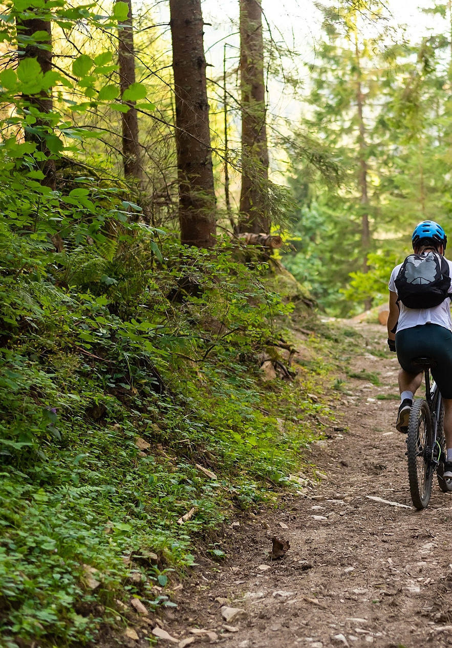 Cyclist riding on dirt trails in Peneda-Gerês National Park surrounded by nature