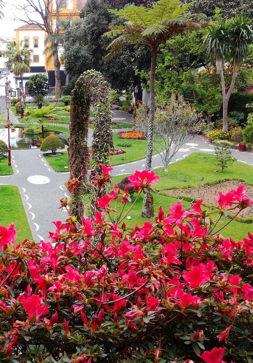 Jardines floridos con un pequeño lago en el centro de Angra do Heroísmo, en la Isla Terceira, Azores