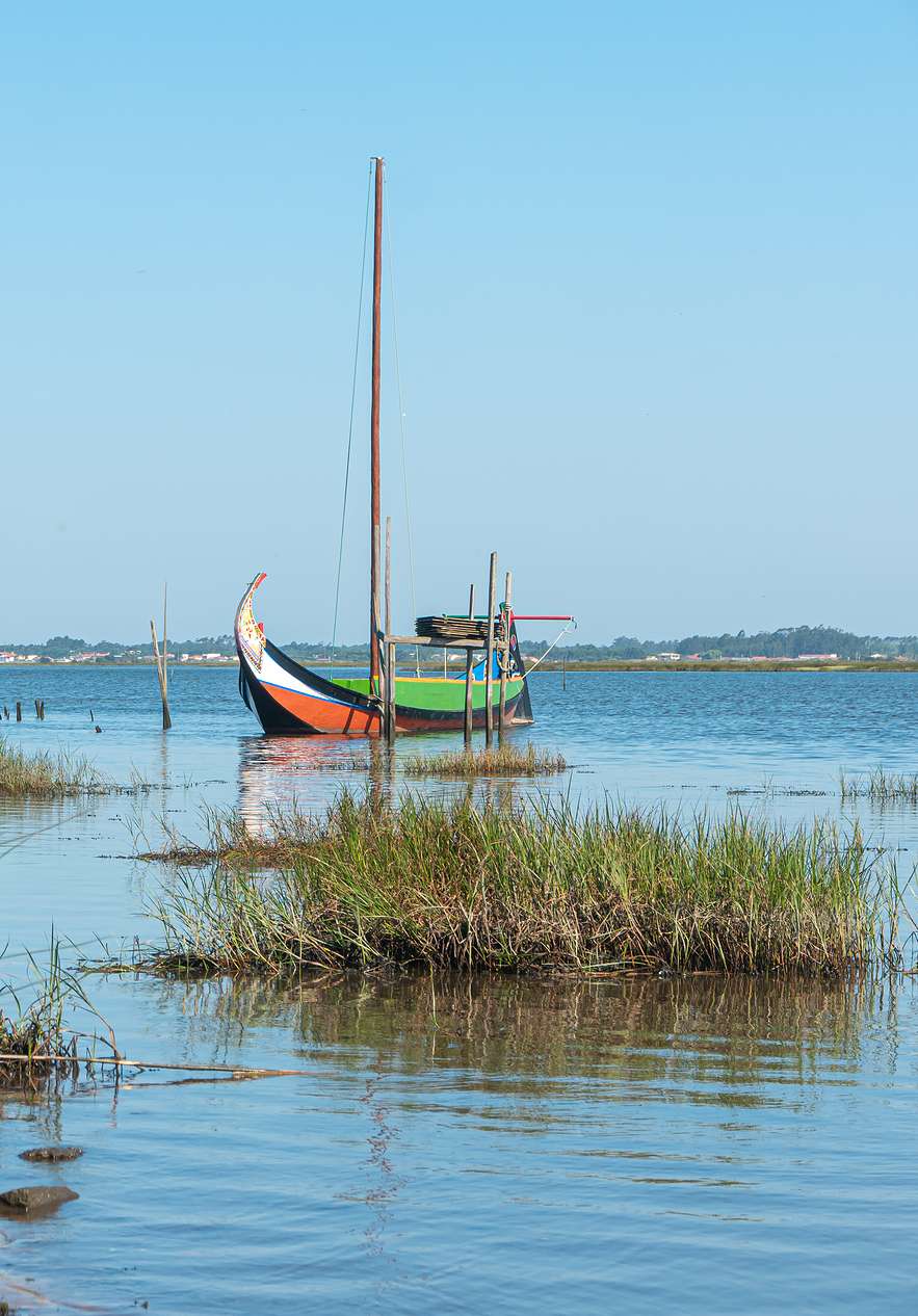Vista de la ría de Aveiro bajo un cielo azul con pocas nubes y un barco moliceiro al fondo