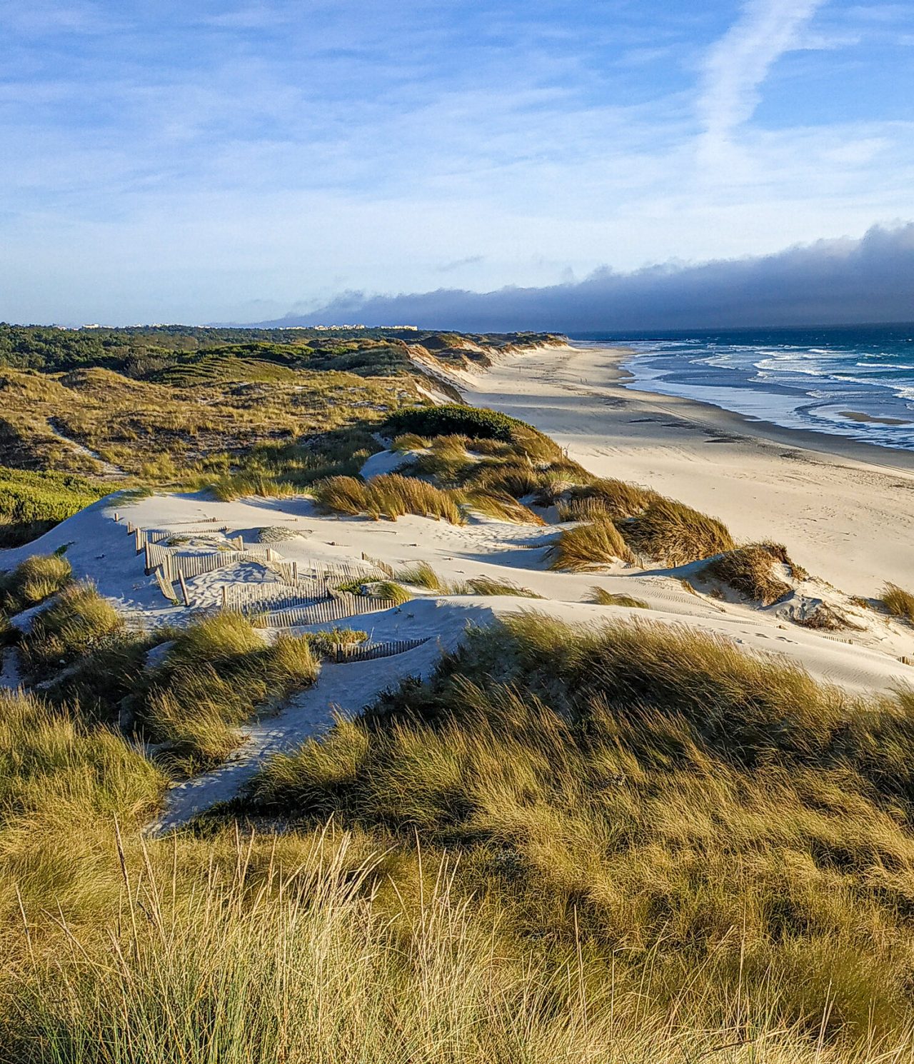 Plage de sable blanc étendue, avec des dunes couvertes de végétation, et un horizon maritime infini