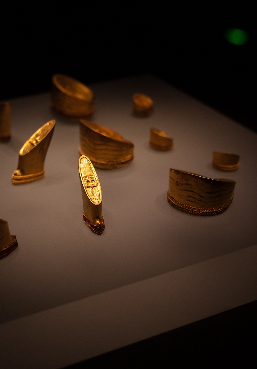 Visite o Museu do Ouro de Travassos com exposições de ourivesaria, onde pode ver peças de ouro expostas