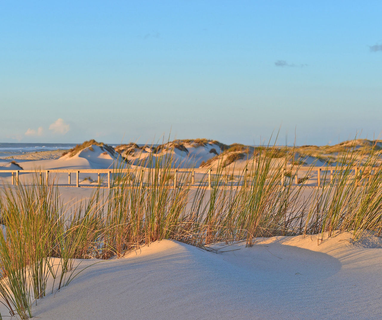 center-portugal hotel com vista para dunas de areia clara e vegetação costeira junto ao mar ao entardecer