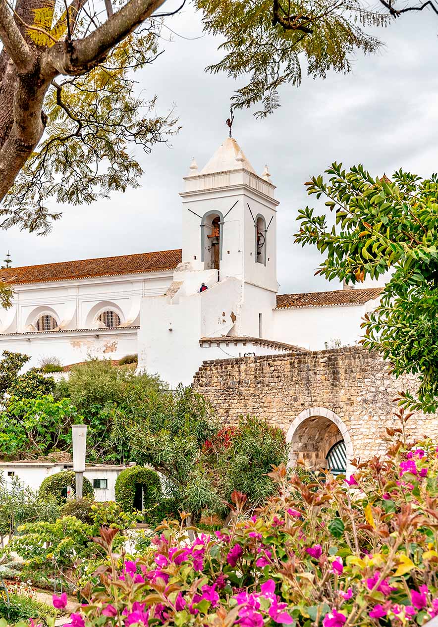 Garden with diverse vegetation in Tavira with a white architectural building with arches in the windows in the background