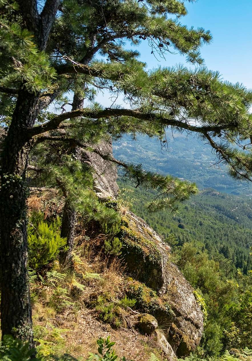 Top view from a mountain of the Douro valley surrounded by vegetation and mountains in Peneda-Gerês National Park