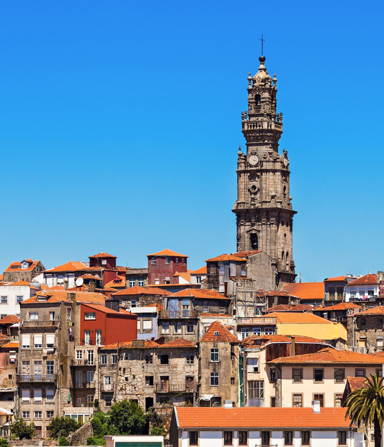 View of Porto, highlighting the Clerigos Tower, surrounded by old buildings